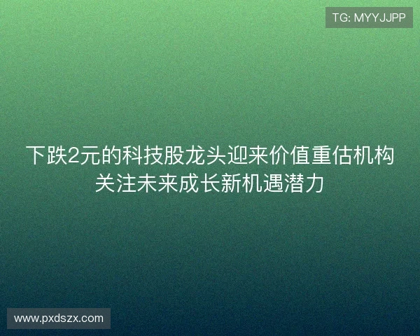 下跌2元的科技股龙头迎来价值重估机构关注未来成长新机遇潜力